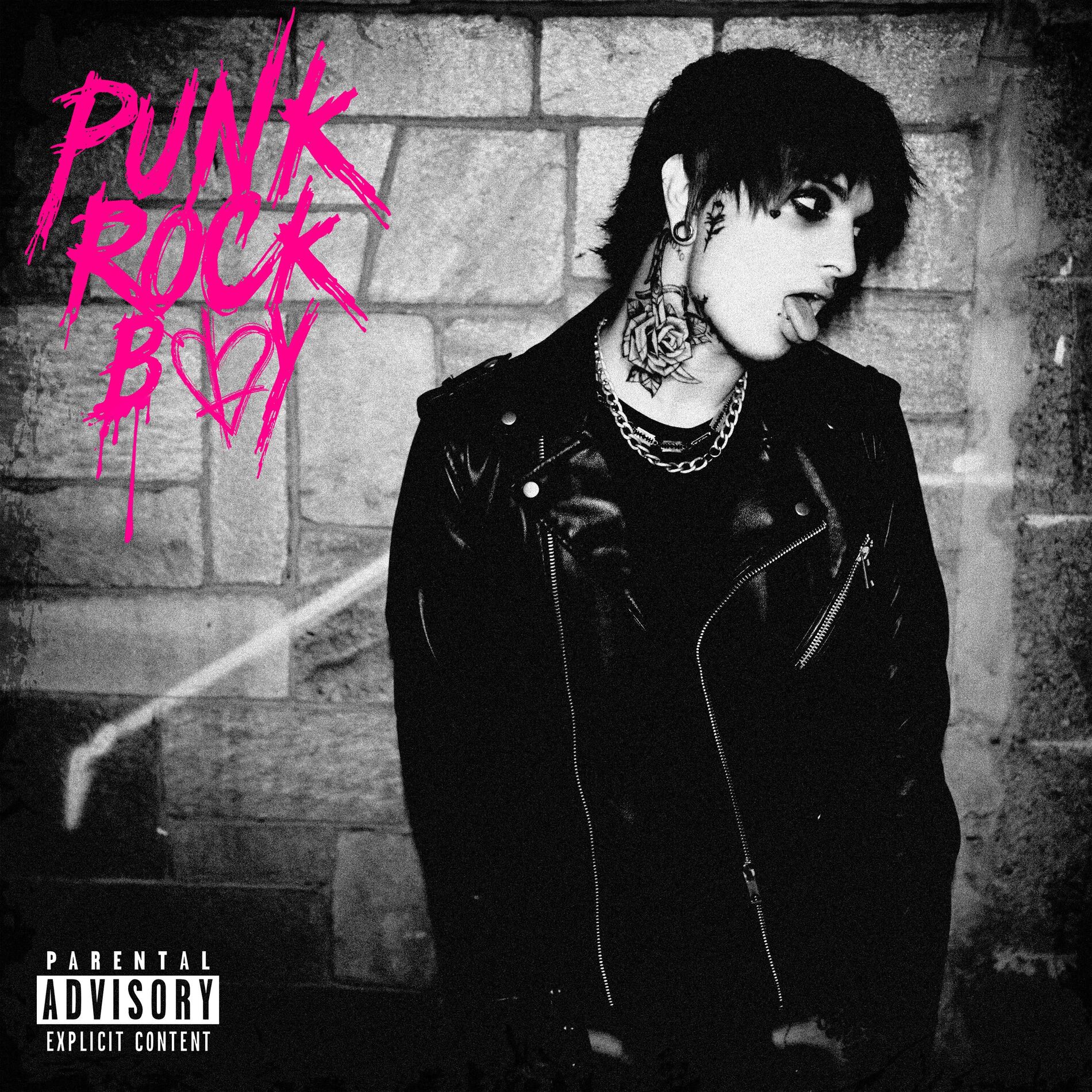 uicide Gvng - Punk Rock Boy | Deezer