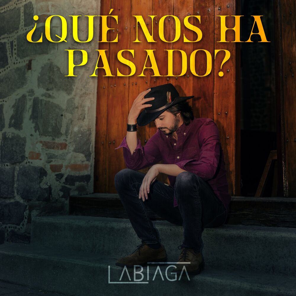 Picture of ¿Qué Nos Ha Pasado?