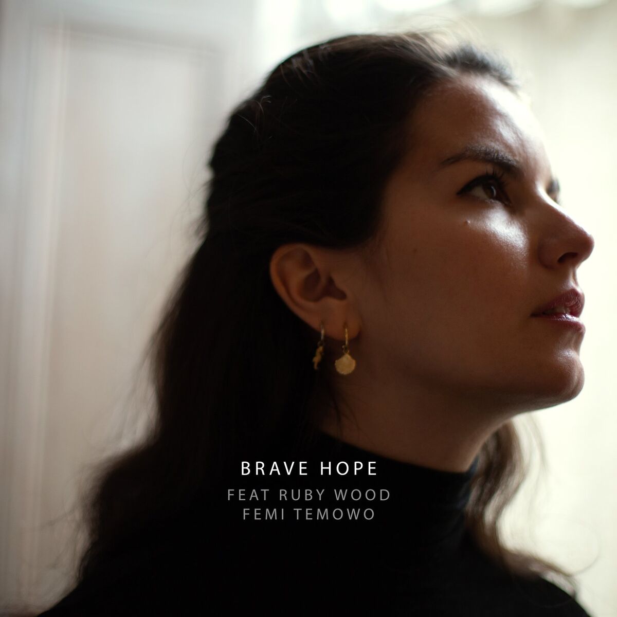 Album cover of Brave Hope