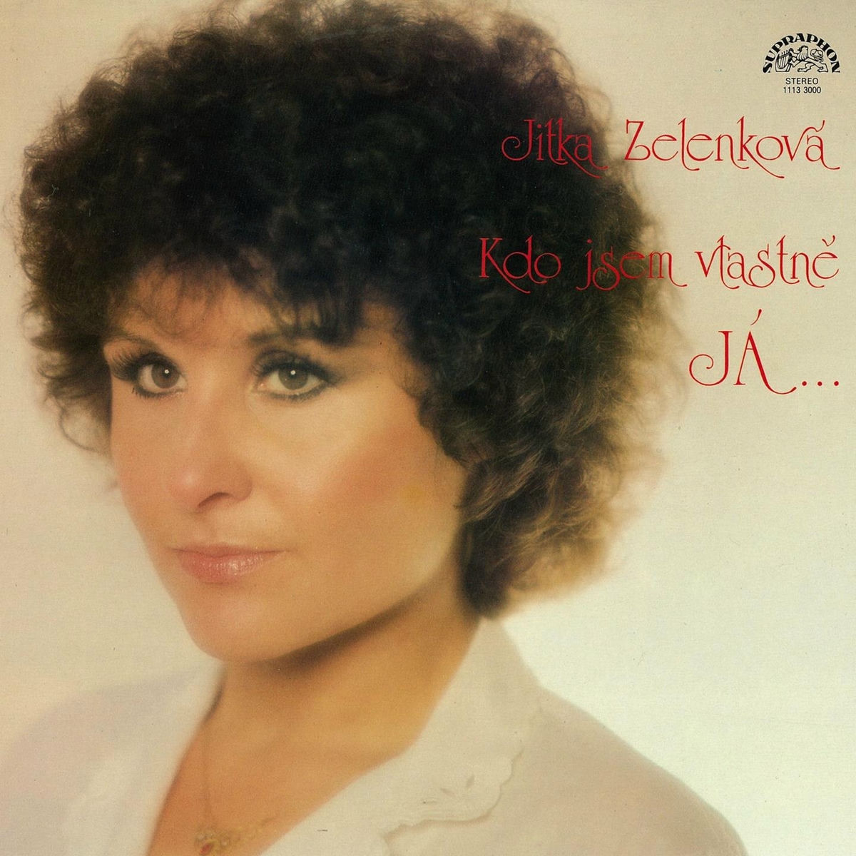 Album cover of Kdo Jsem Vlastně Já, Zázemí