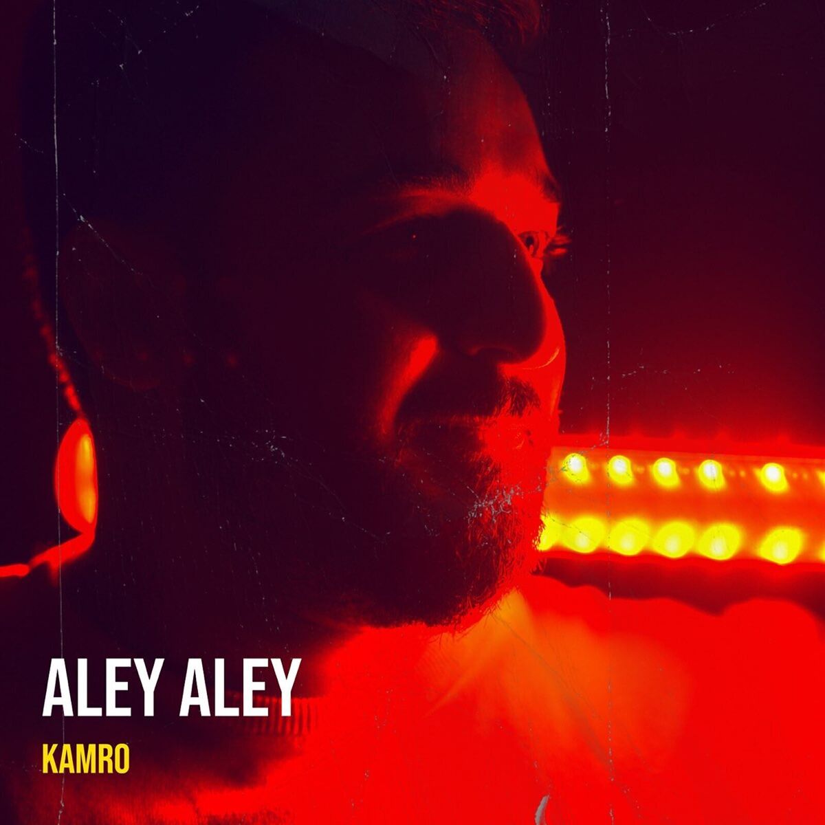 Album cover of Aley Aley