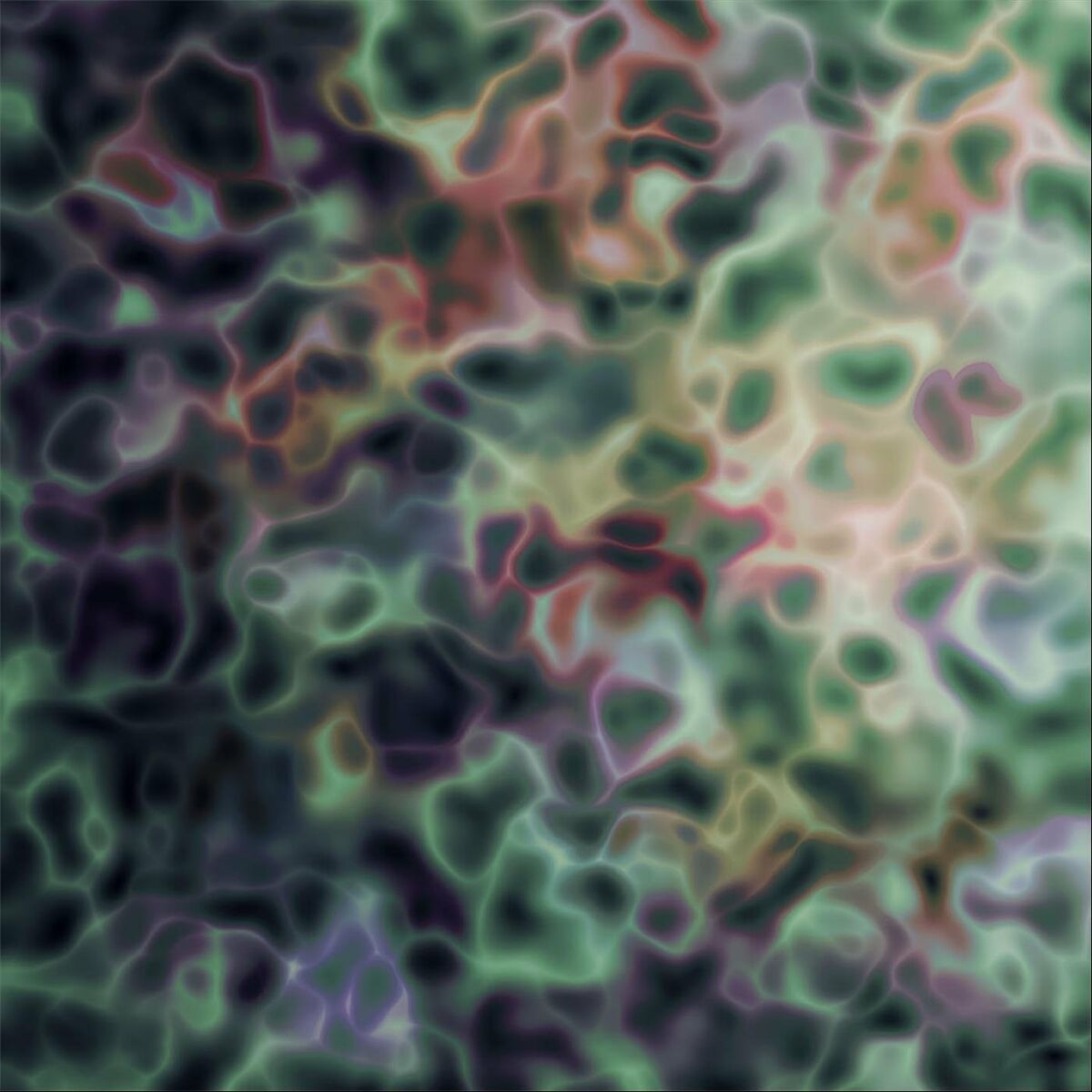 Album cover of Net / Work