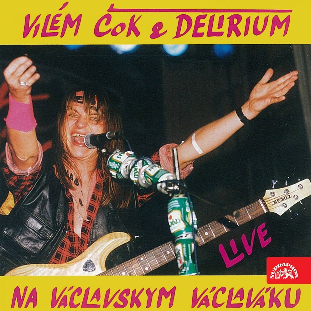 Picture of Na Václavskym Václaváku (Live)