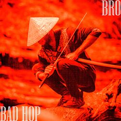 Cover of Bro