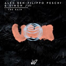 Cover of The Rain