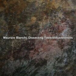 Cover of Indusferences