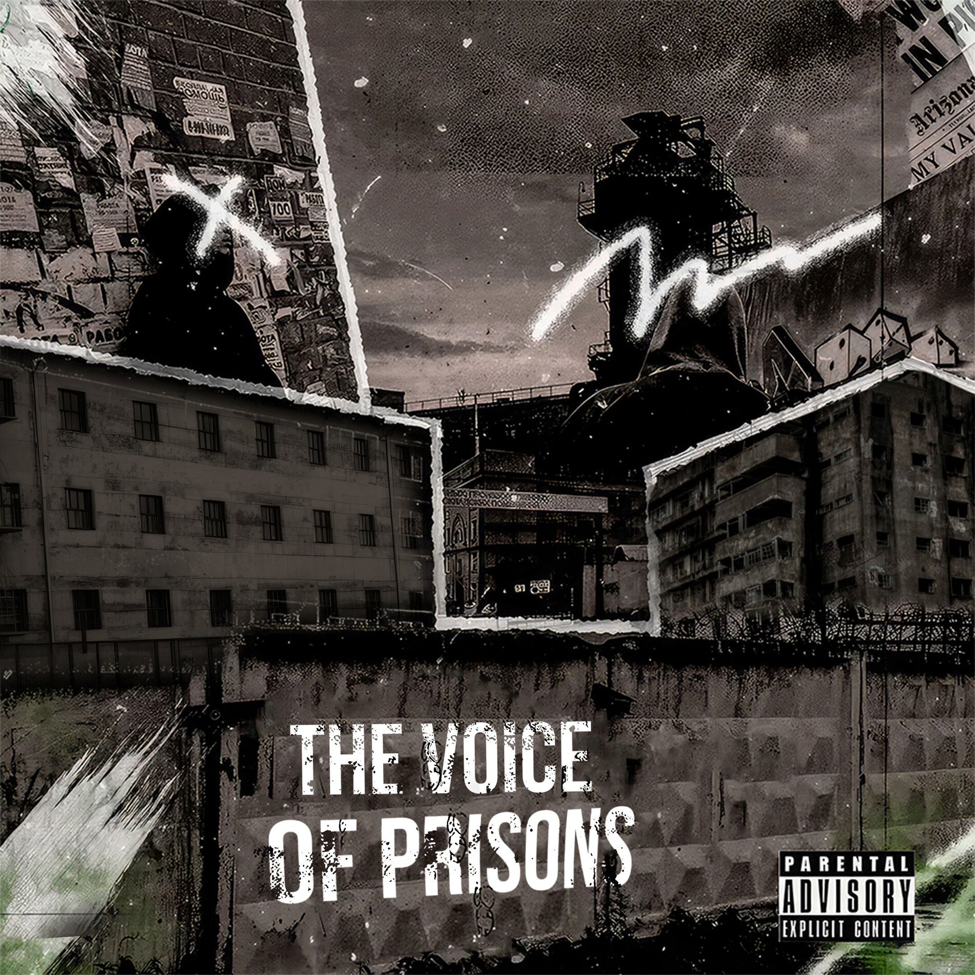 Album cover of The Voice of Prisons