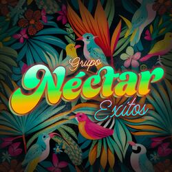 Cover of Exitos