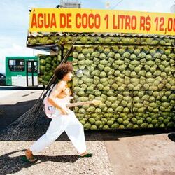 Cover of Fogueira