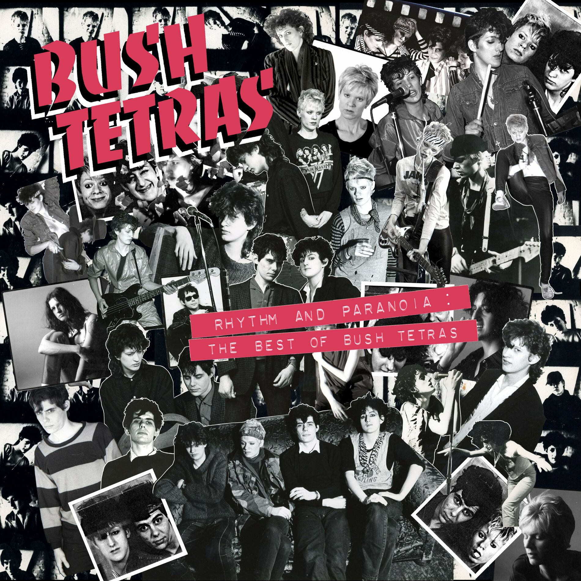 Album picture of Rhythm and Paranoia: The Best of Bush Tetras
