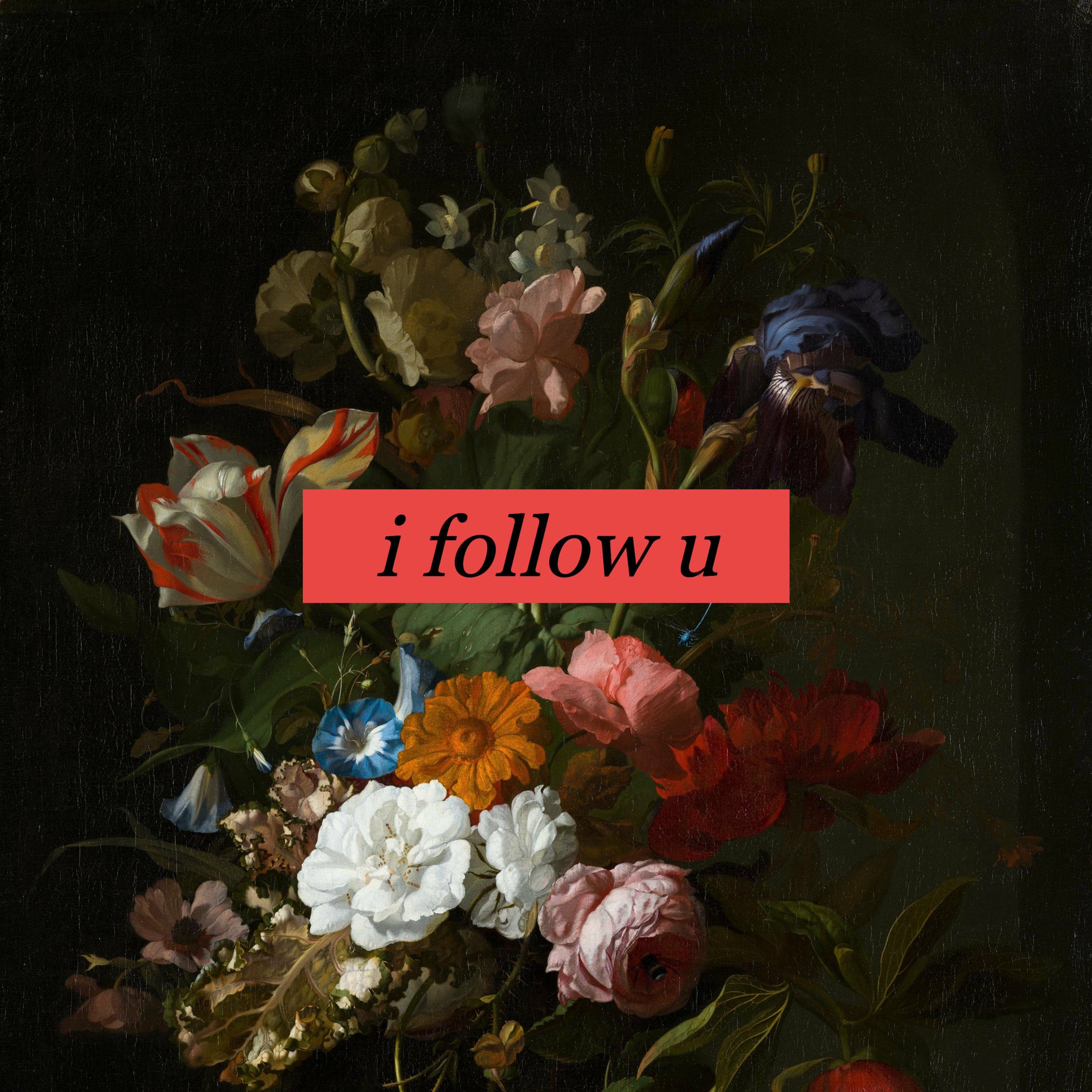 Album cover of i follow u