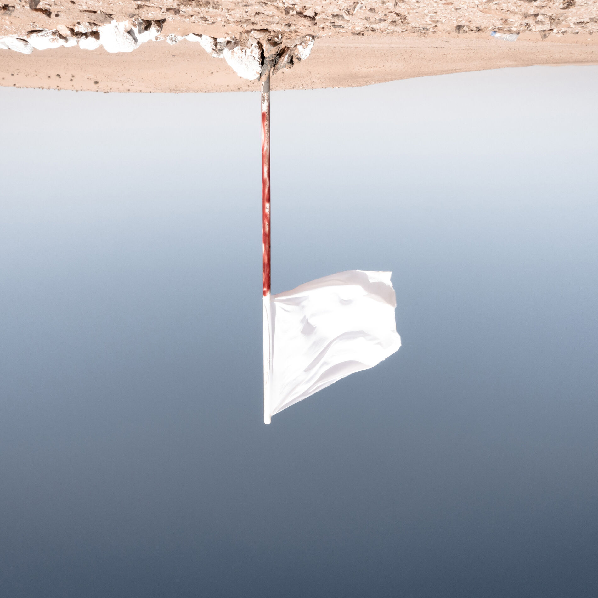Album cover of Tregua