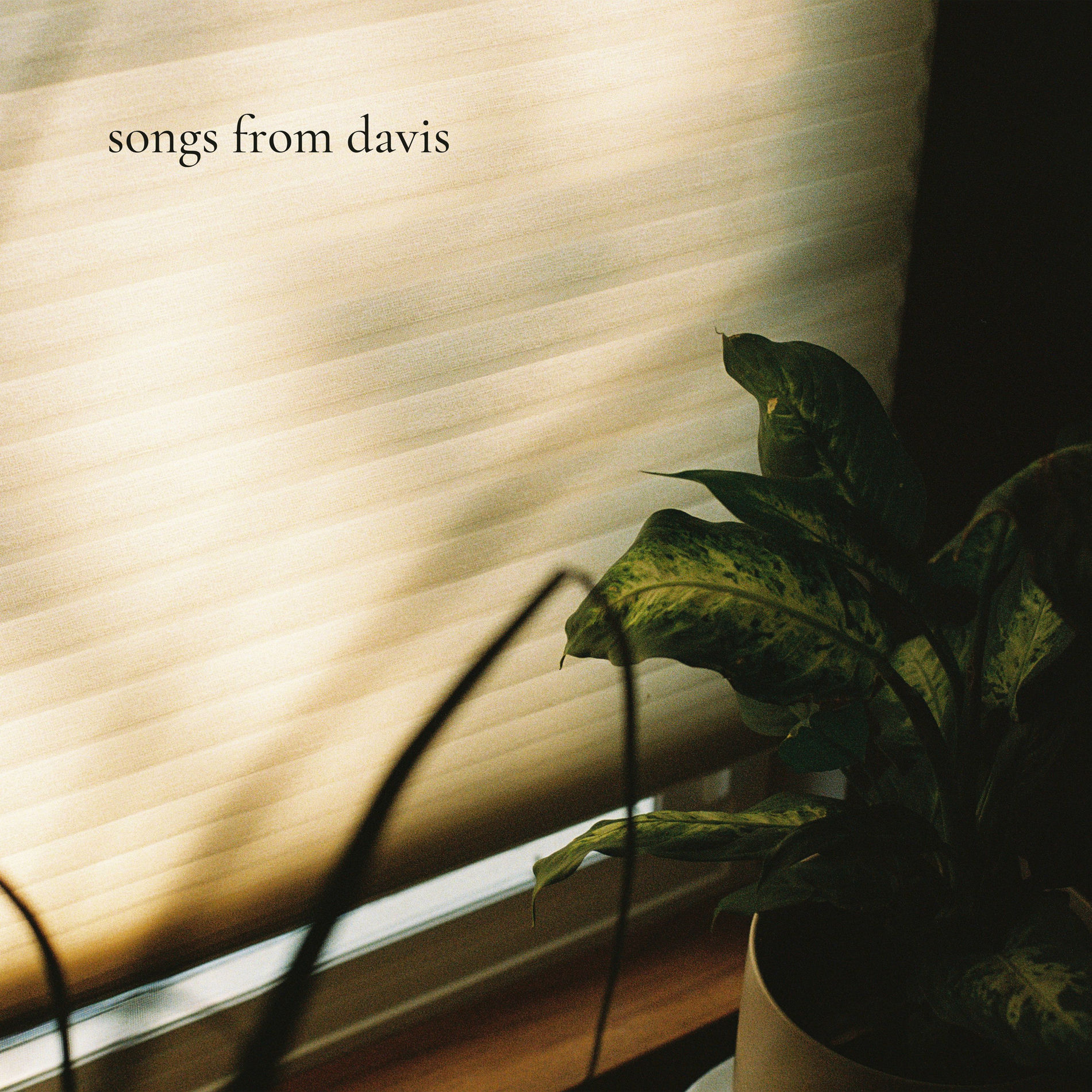 Album cover of Songs from Davis