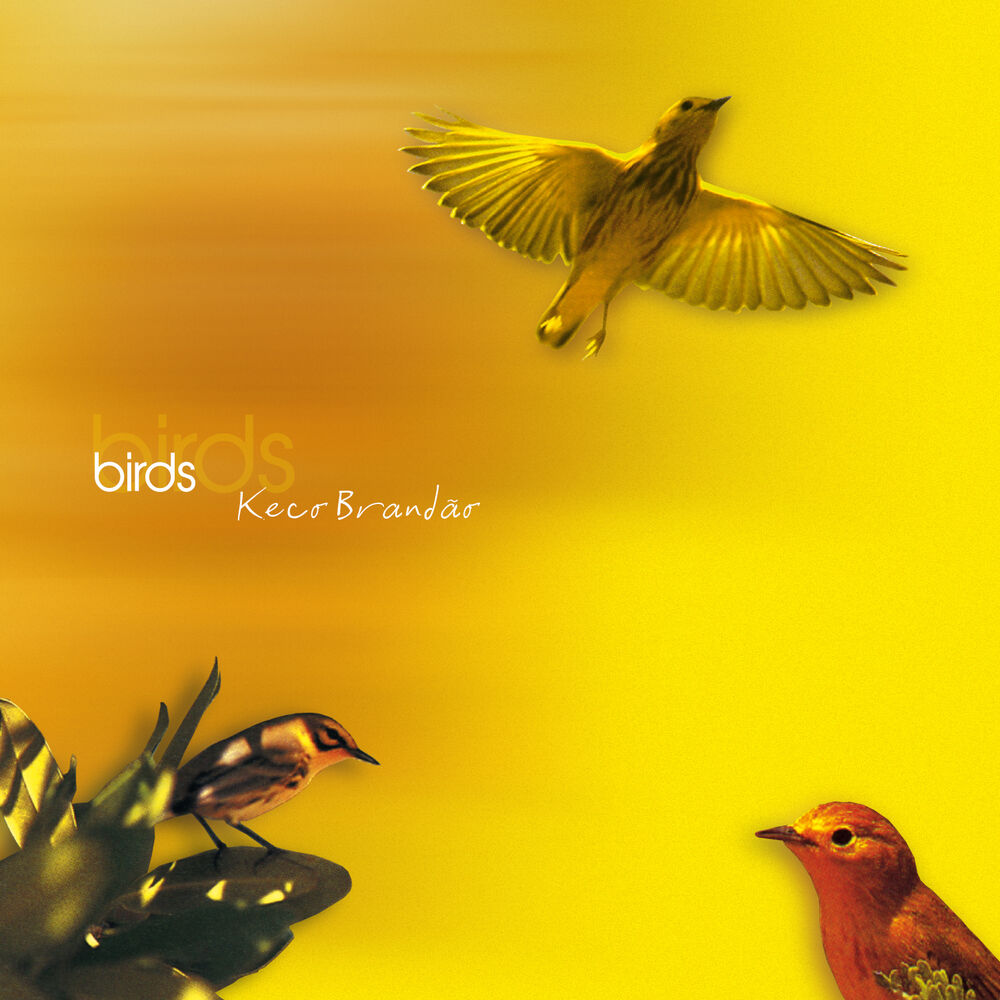 Picture of Birds