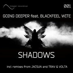 Cover of Shadows