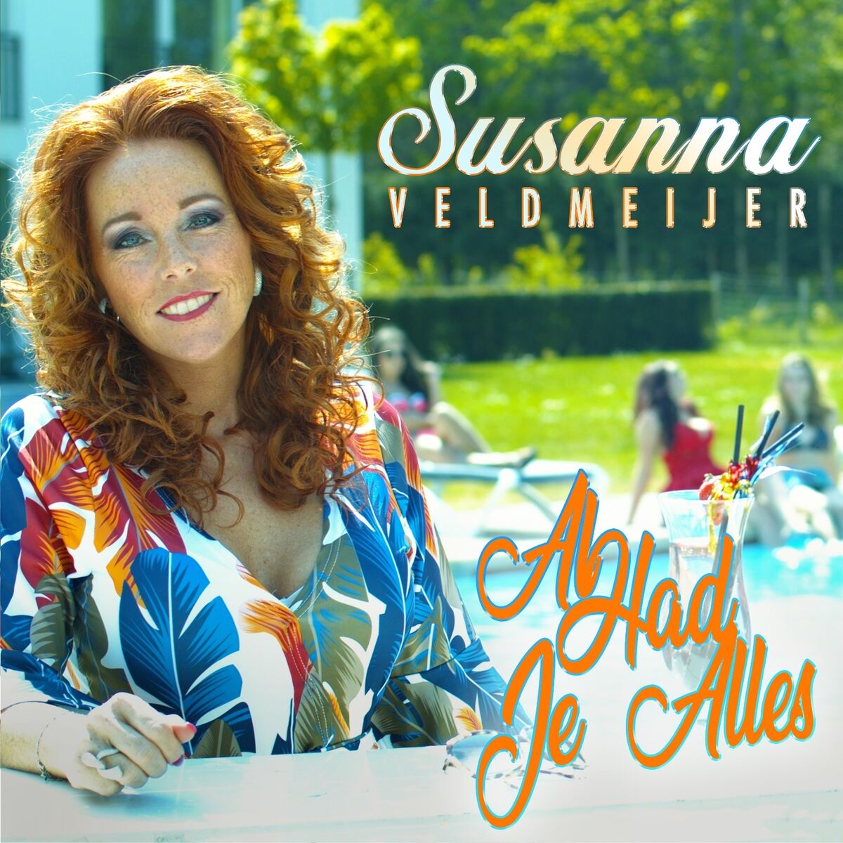 Album cover of Al Had Je Alles