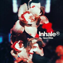 Cover of Open Wide
