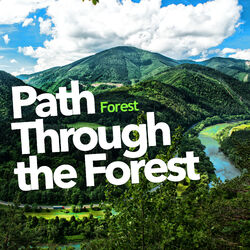 Cover of Path Through the Forest