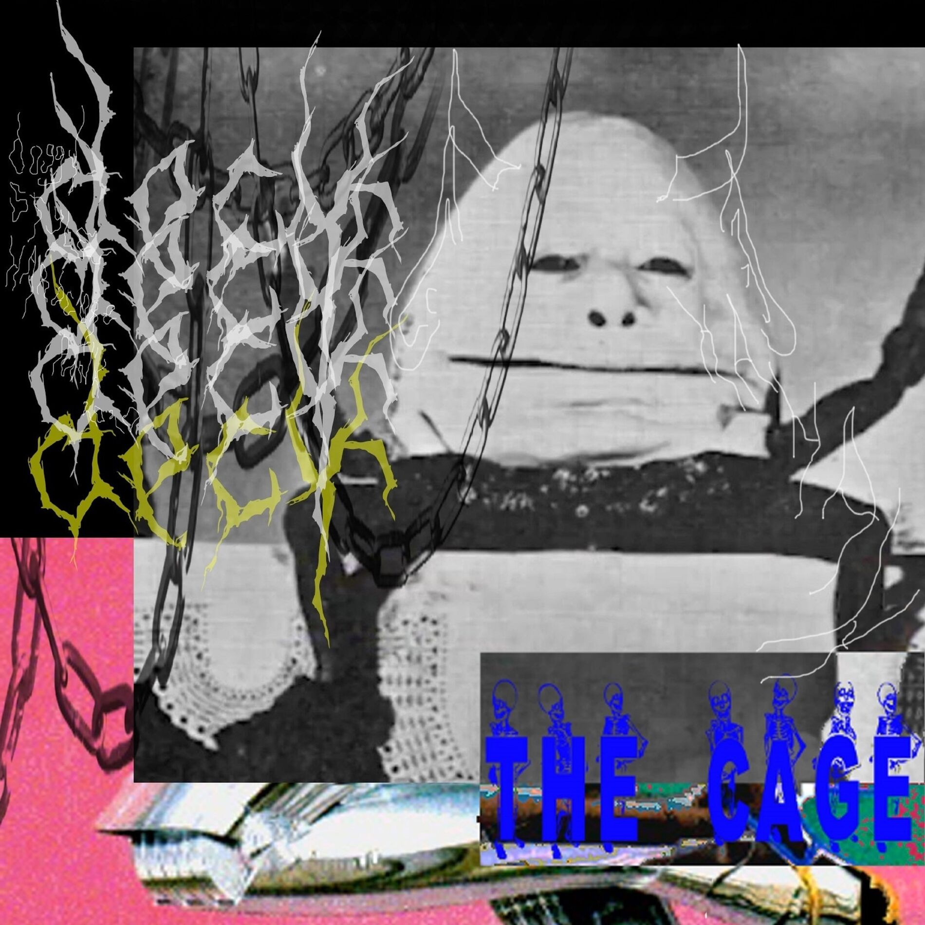 Album cover of The Cage