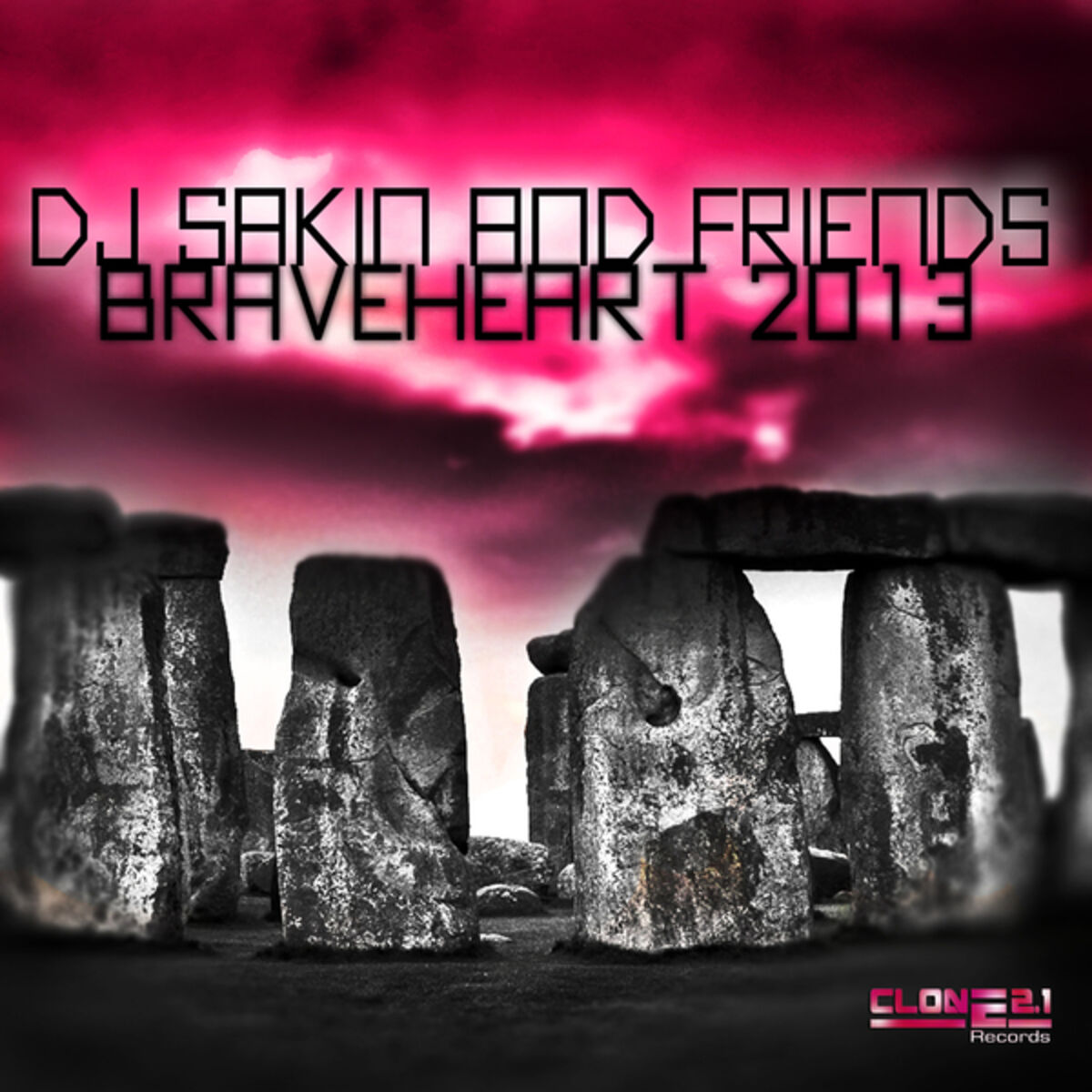 Album cover of Braveheart 2013 : Braveheart 2013