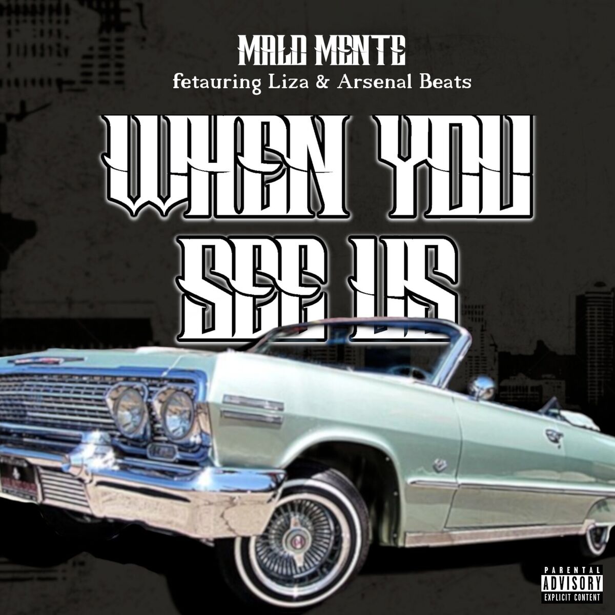 Album cover of When You See Us