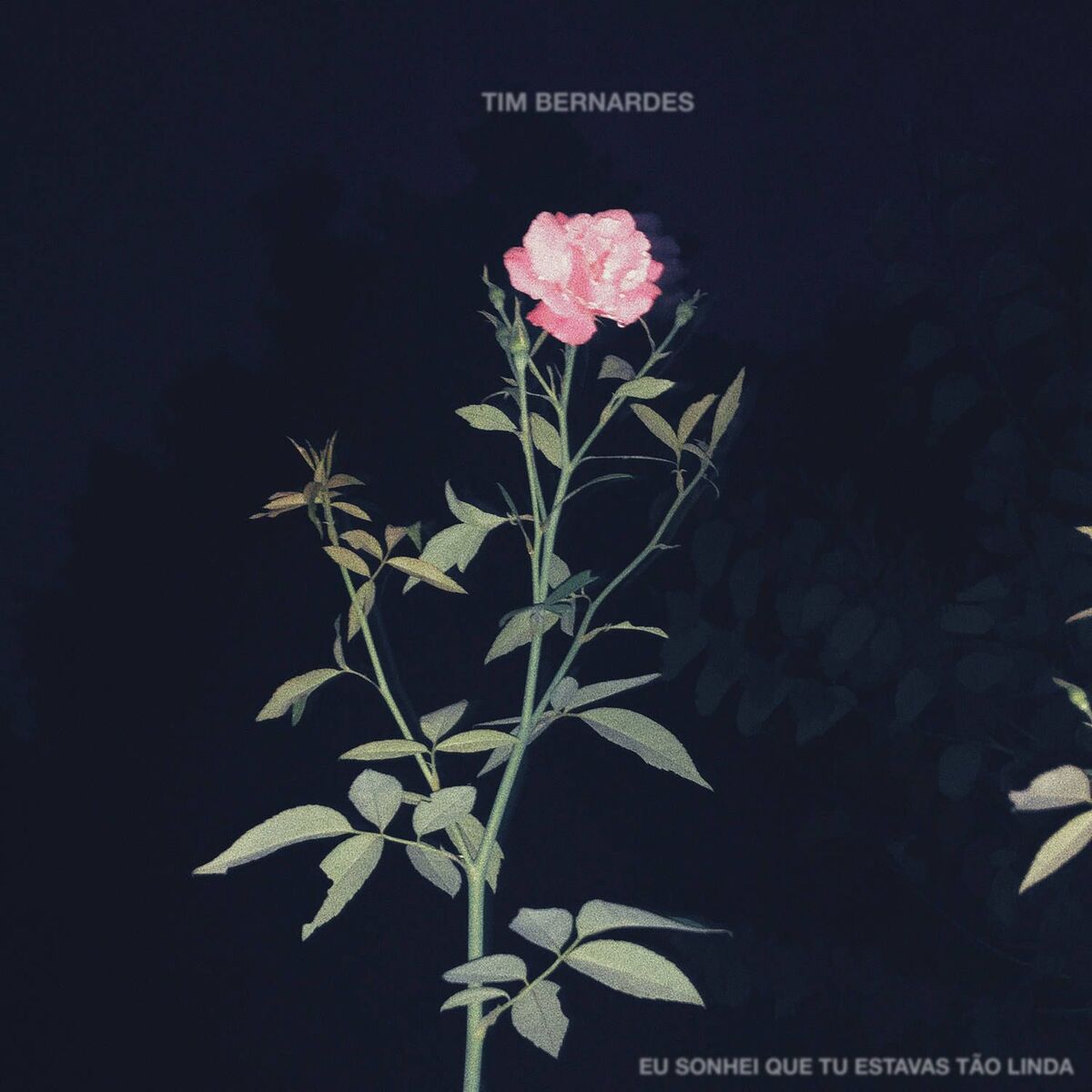 Album cover of Eu Sonhei Que Tu Estavas Tão Linda (Trilha Sonora: Éramos Seis)