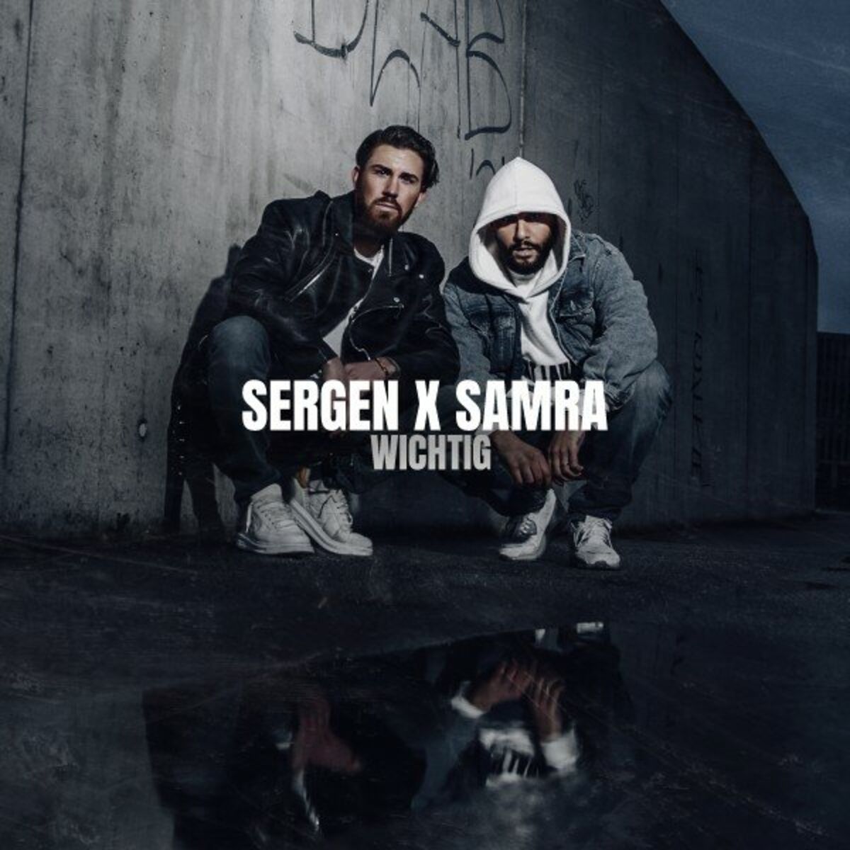 Album cover of Wichtig