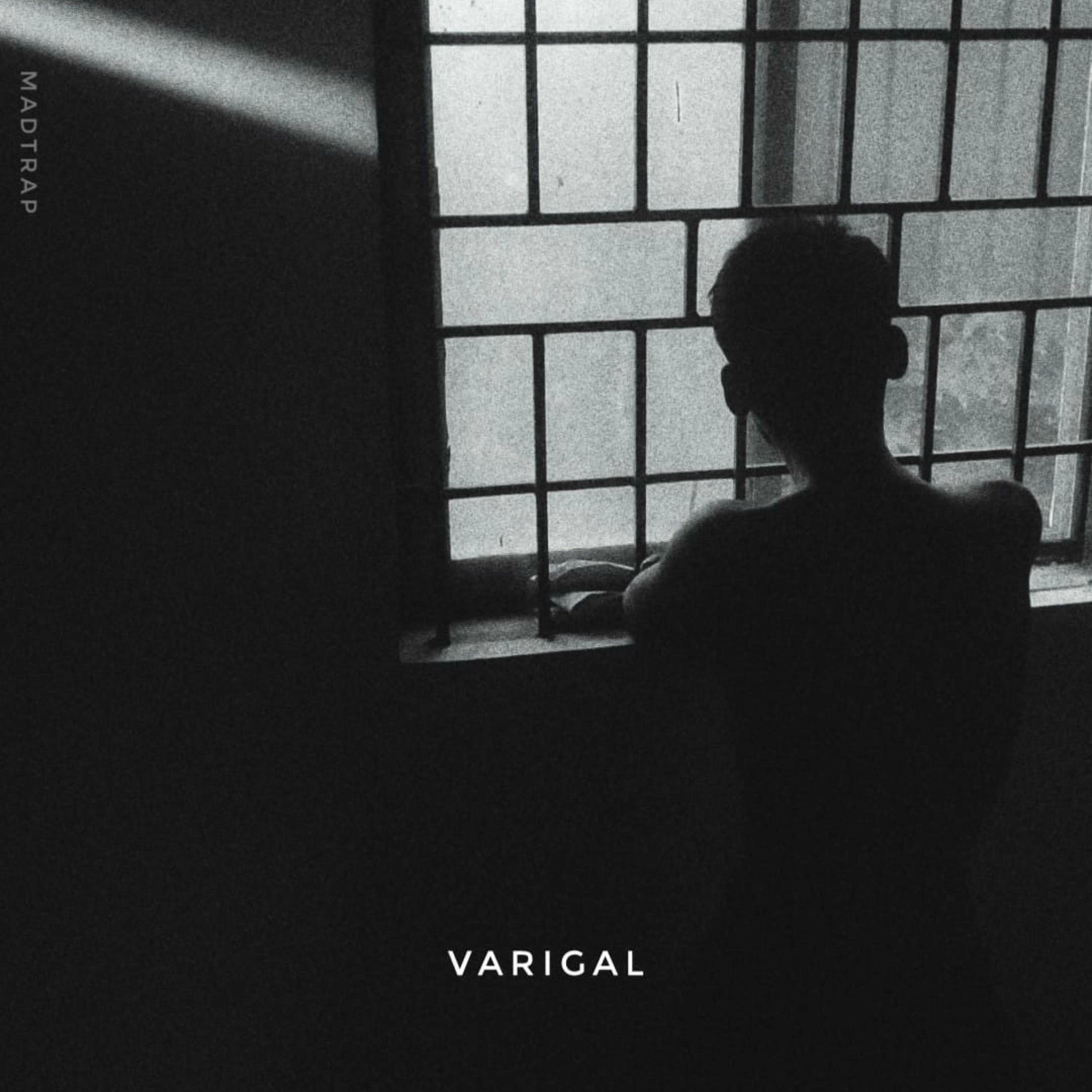 Album cover of VARIGAL (feat. VIBE)