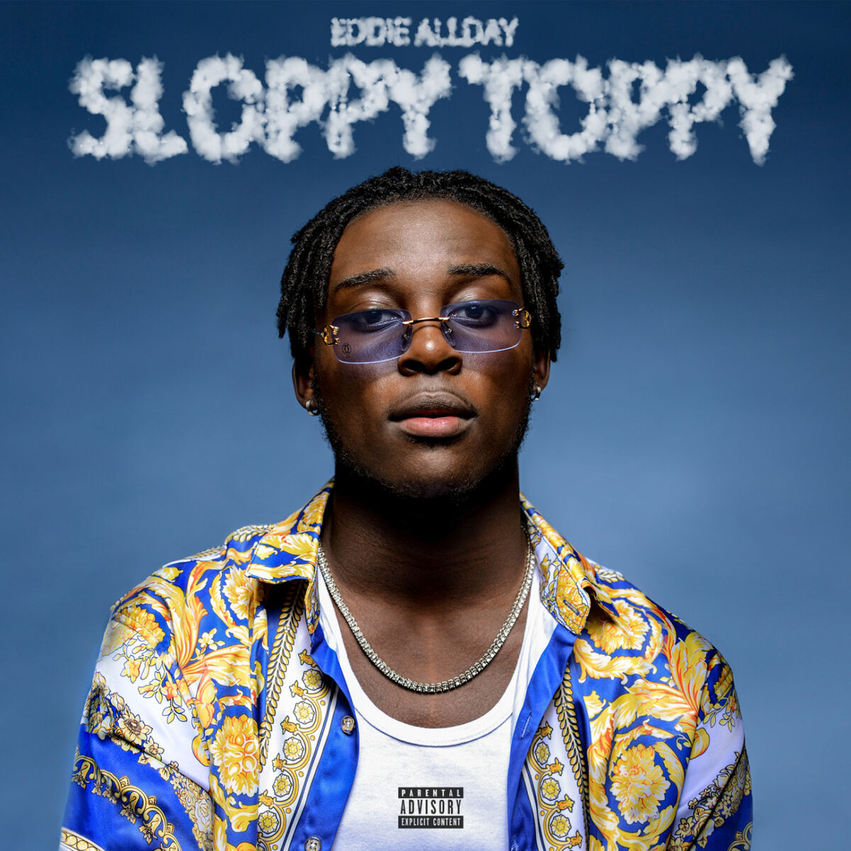 Album cover of Sloppy Toppy