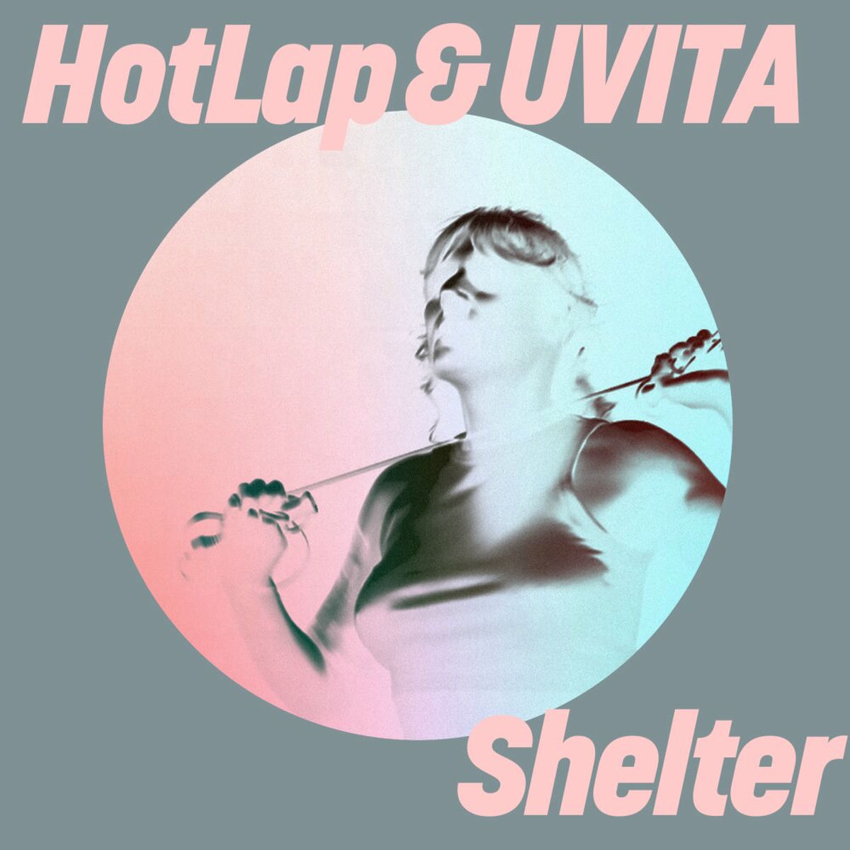 Album cover of Shelter