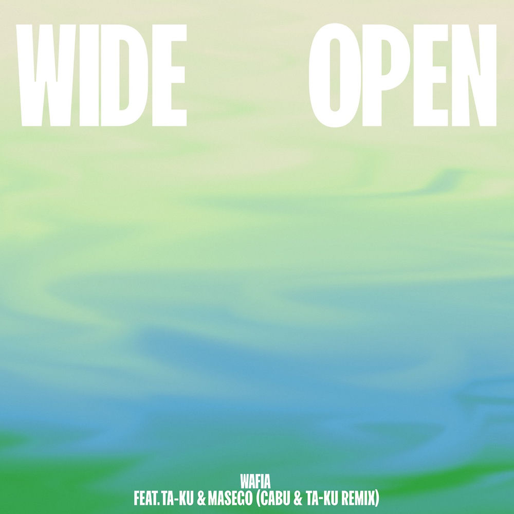 Album artwork for Wide Open (feat. Ta-ku & Masego) (Cabu & Ta-ku Remix) by Wafia