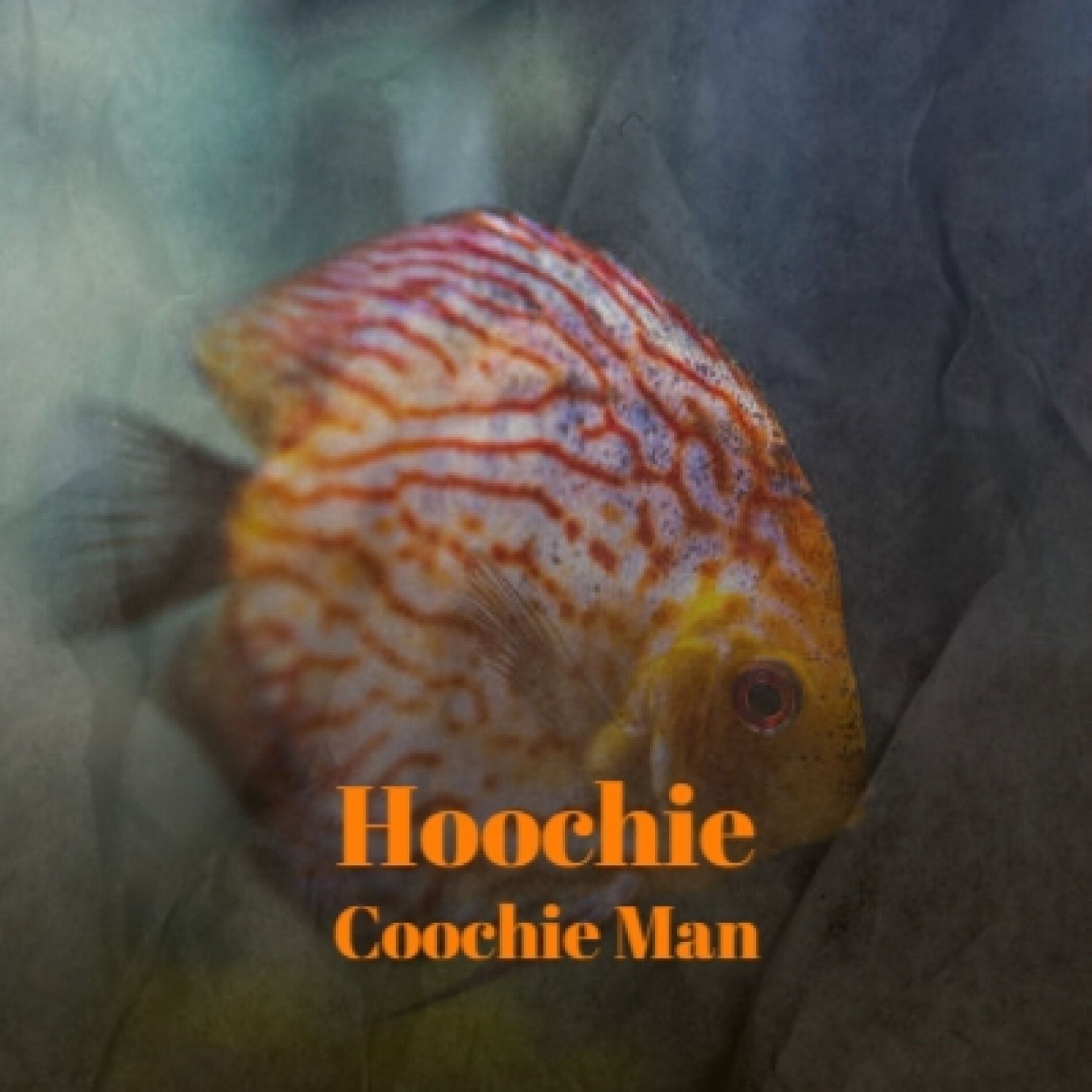 Album cover of Hoochie Coochie Man