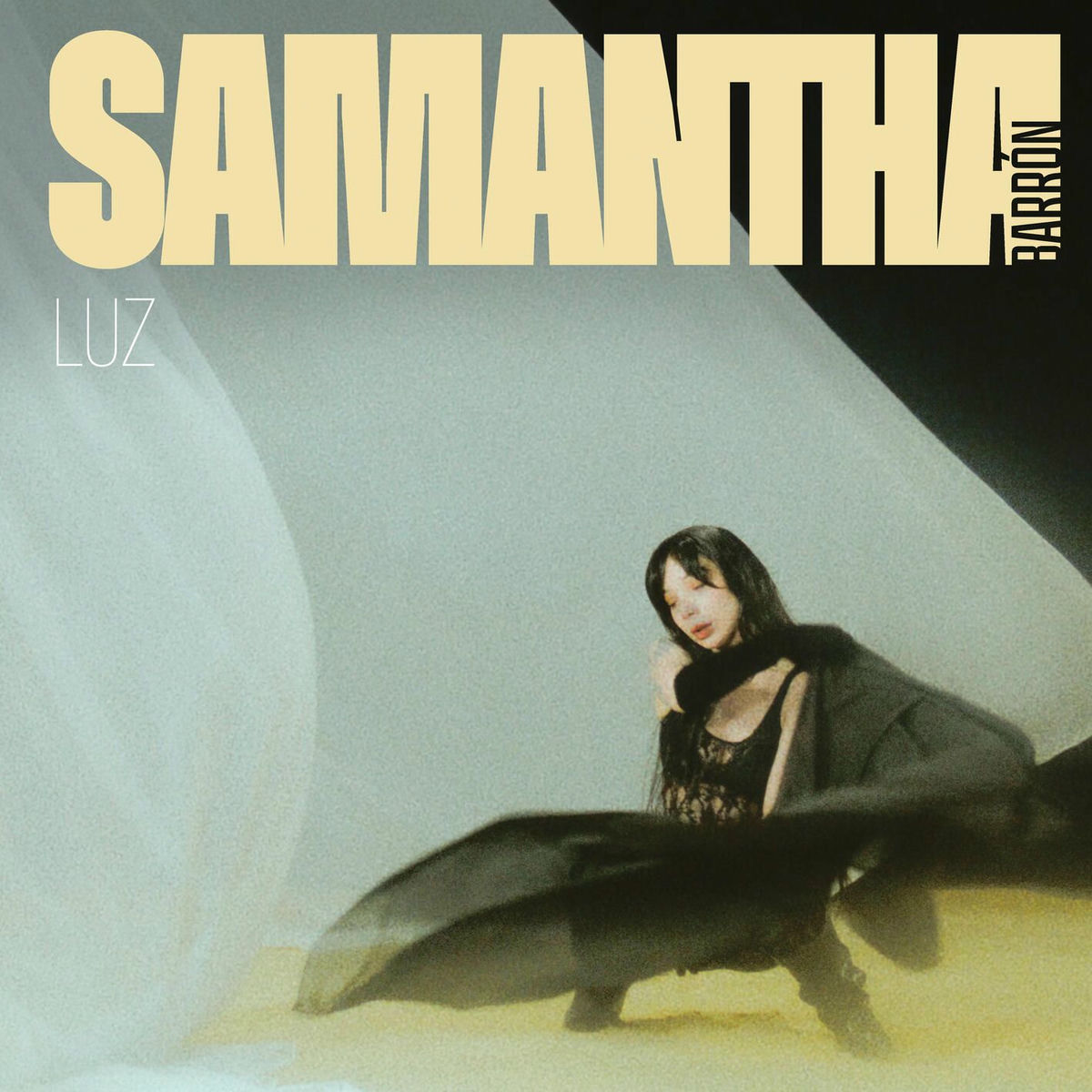 Album cover of Luz