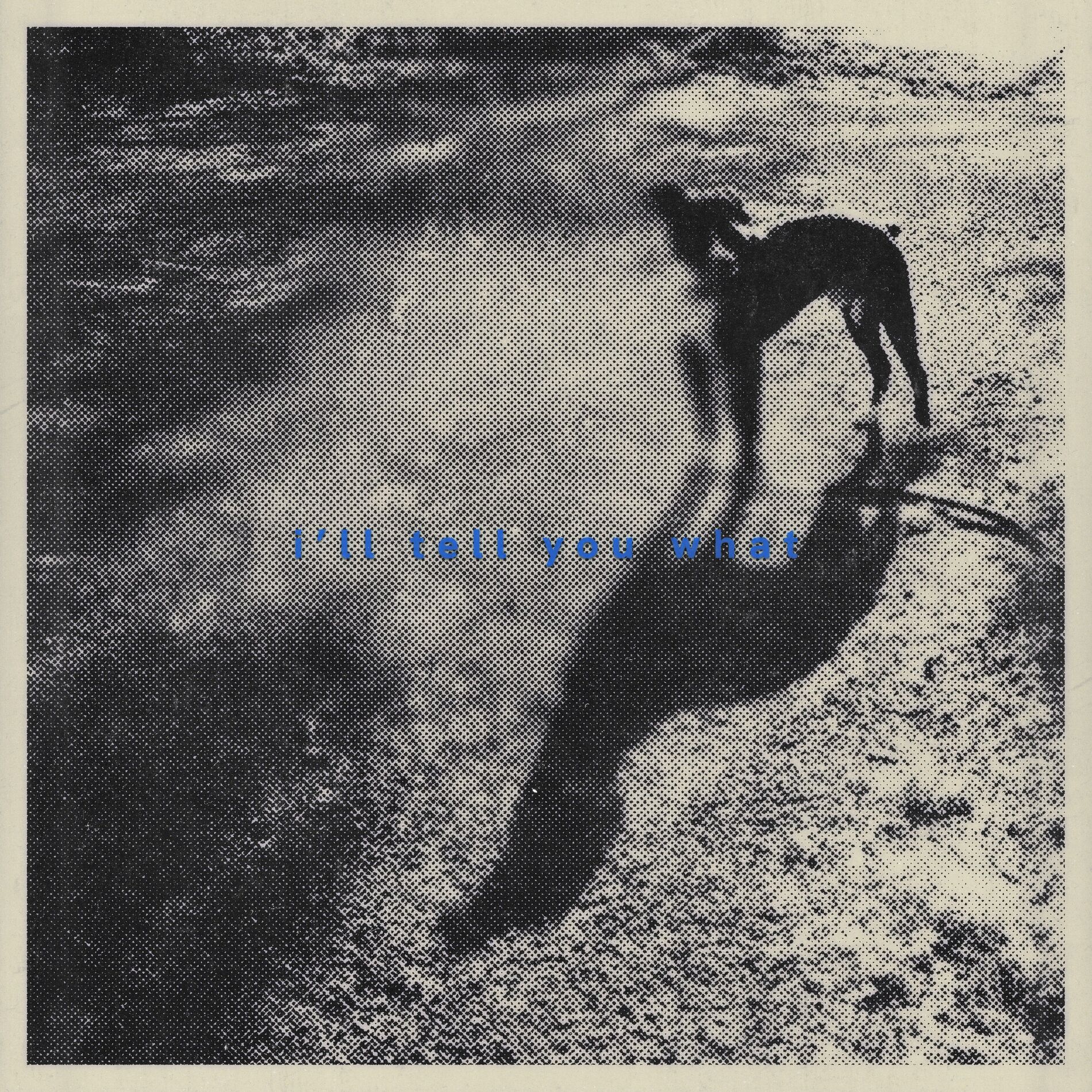 Album cover of i'll tell you what