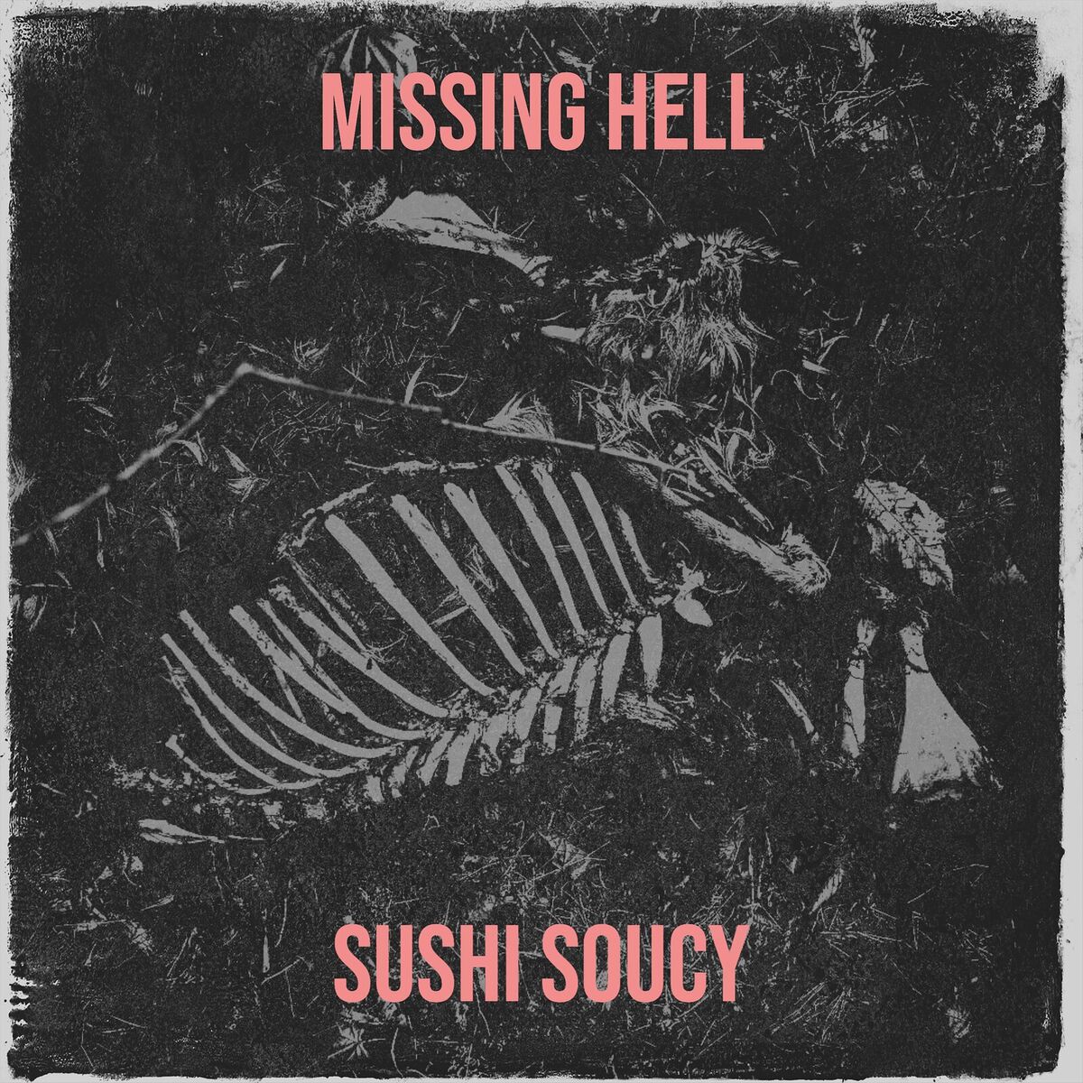 Album cover of Missing Hell