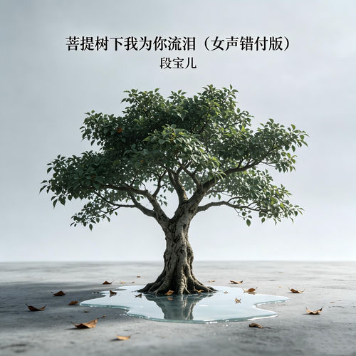 菩提树下我为你流泪 (女声错付版)