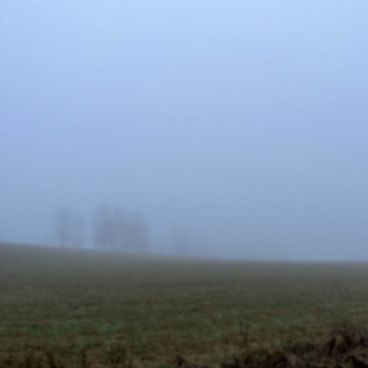 Album cover of Ruderunda