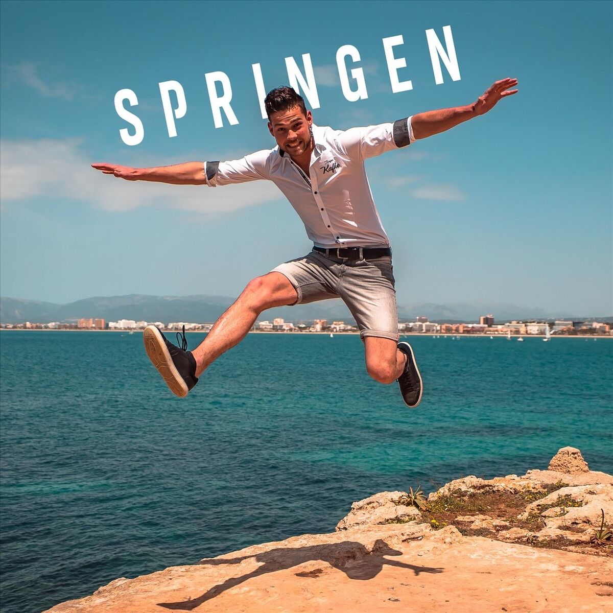 Album cover of Springen