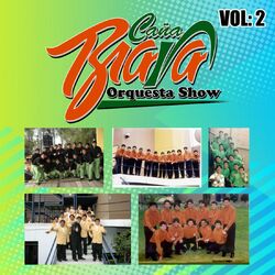 Cover of Vol.2