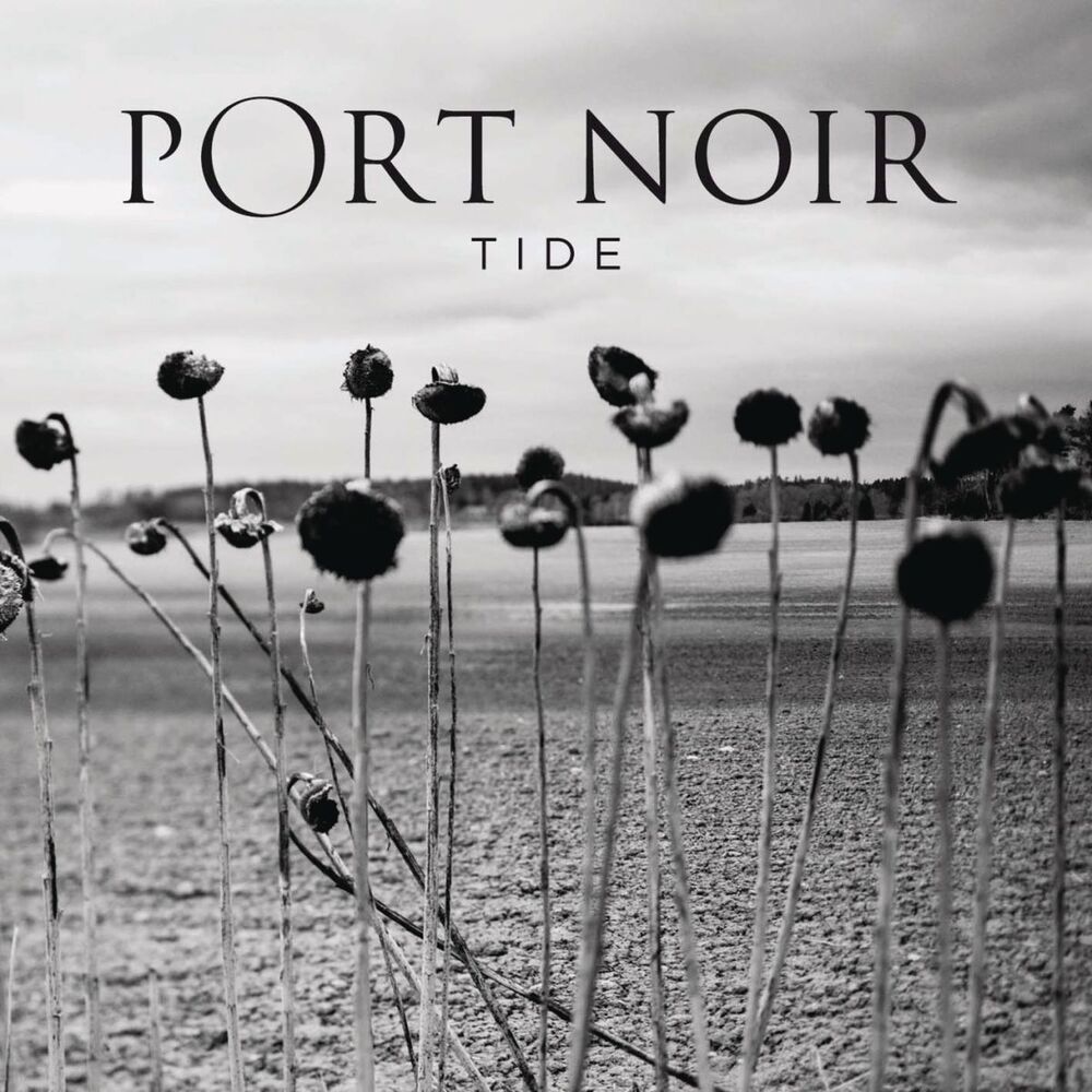 Picture of Tide