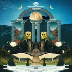 Cover of the Billage of perception: chapter three
