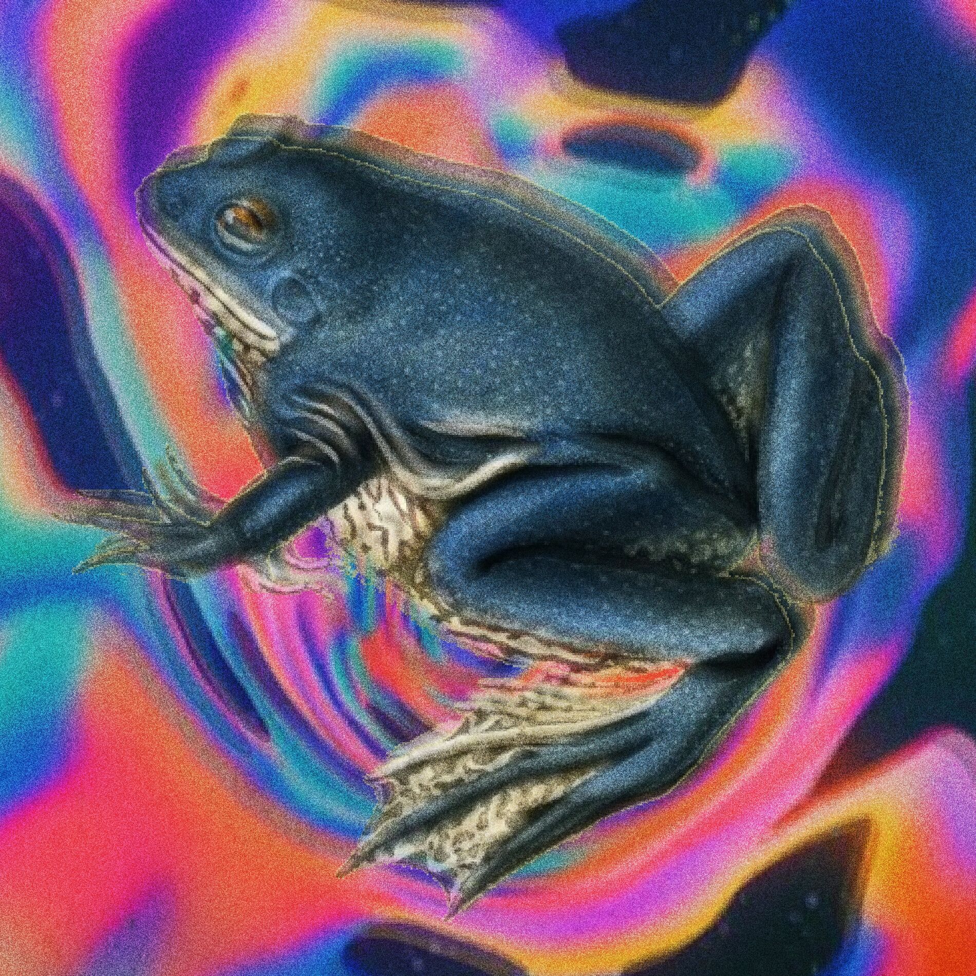 Album cover of Too Late