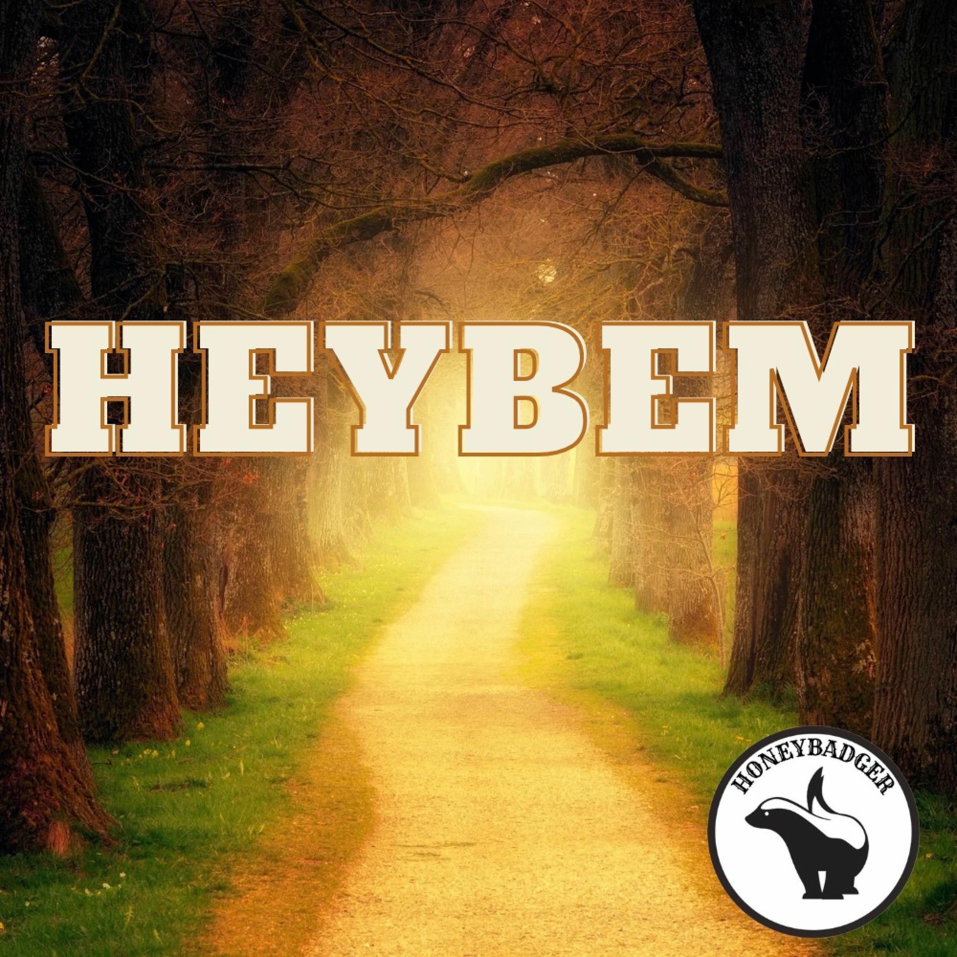 Album cover of HEYBEM
