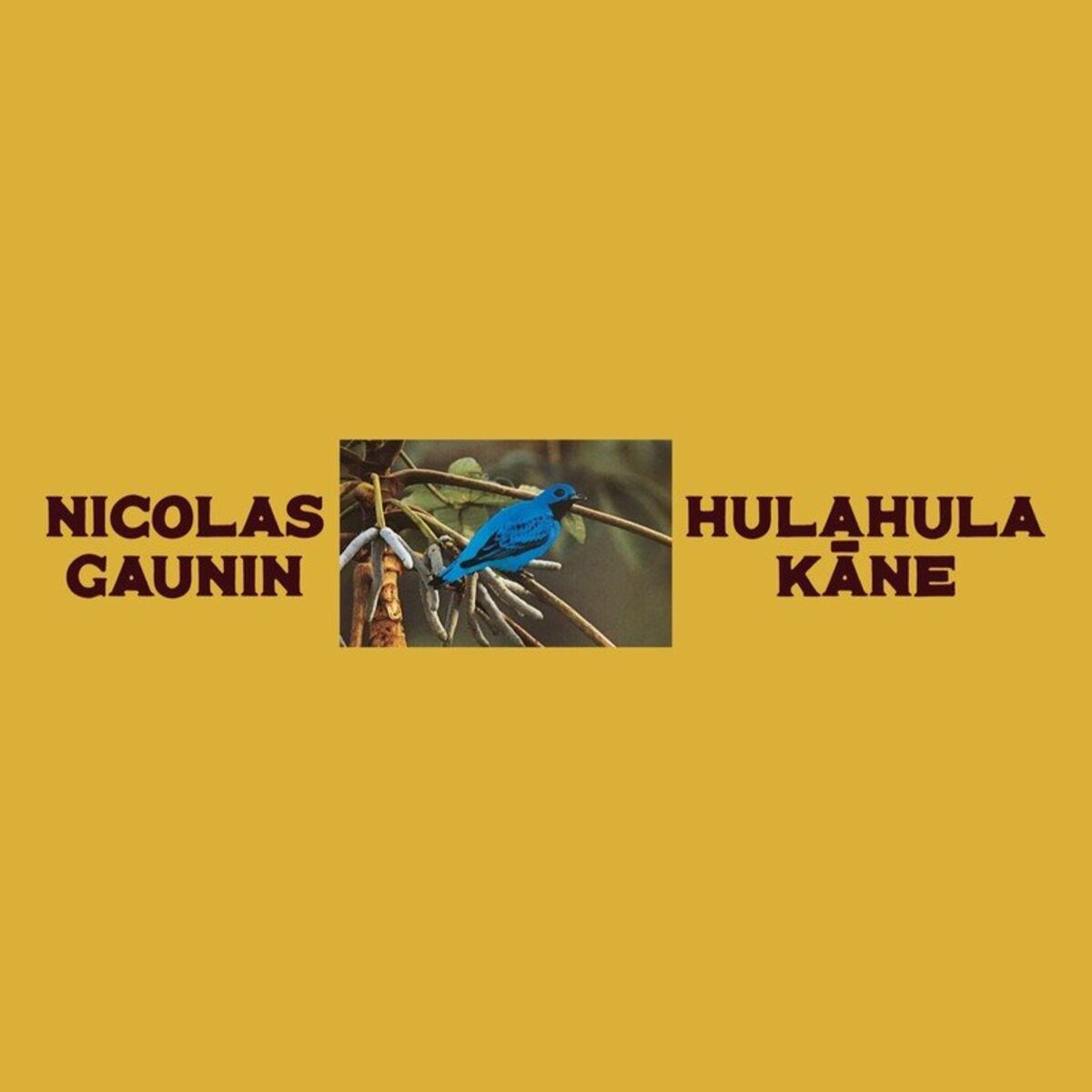 Album cover of Hulahula Kāne