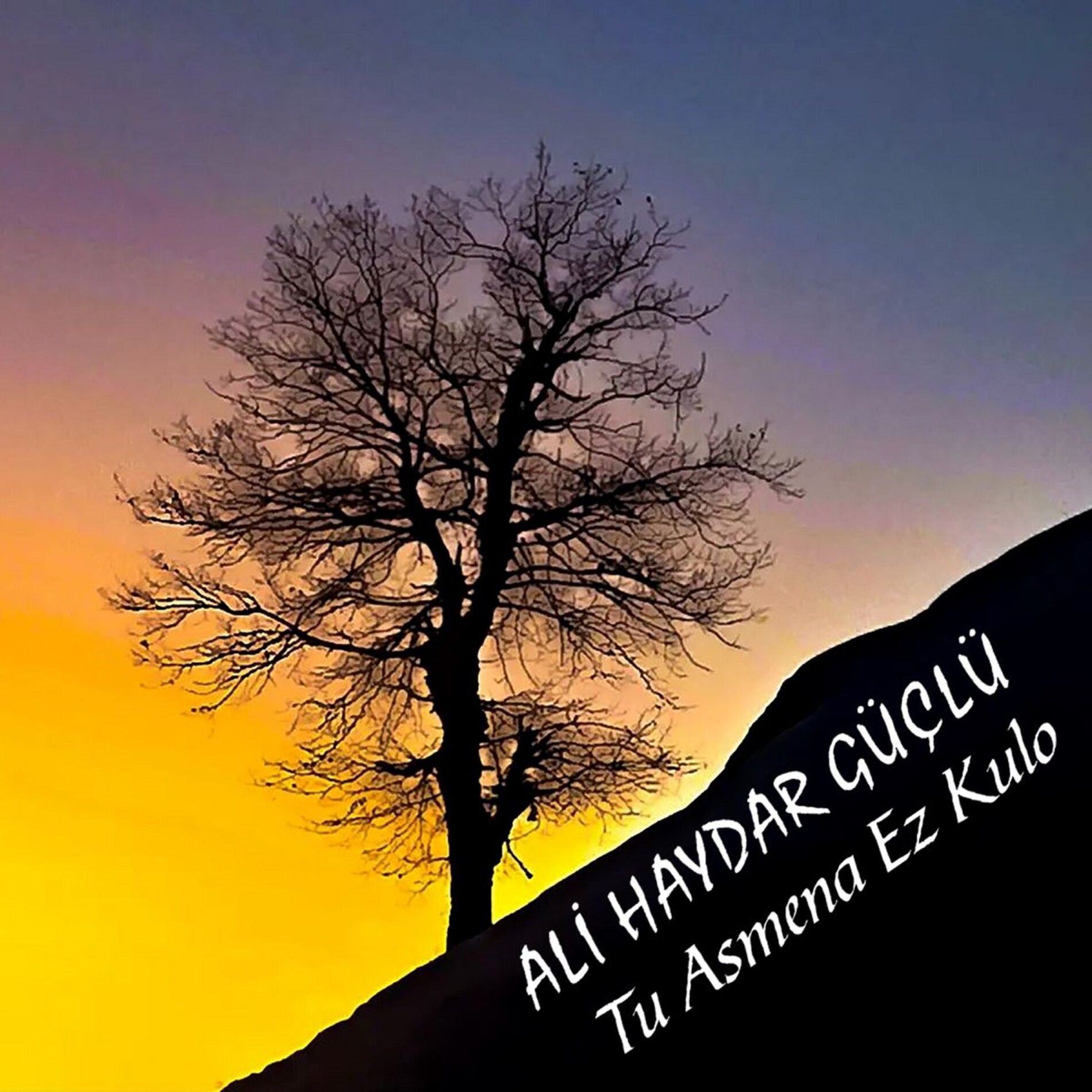 Album cover of Tu Asmena Ez Kulo