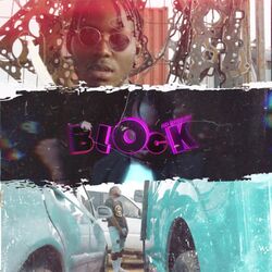 Cover of Block
