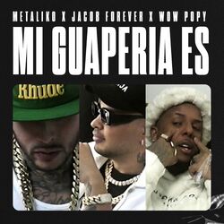 Cover of Mi Guapería Es