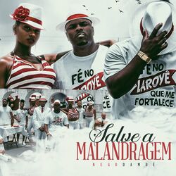 Cover of Salve a Malandragem