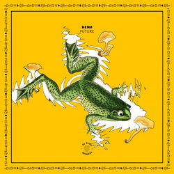 Cover of Future
