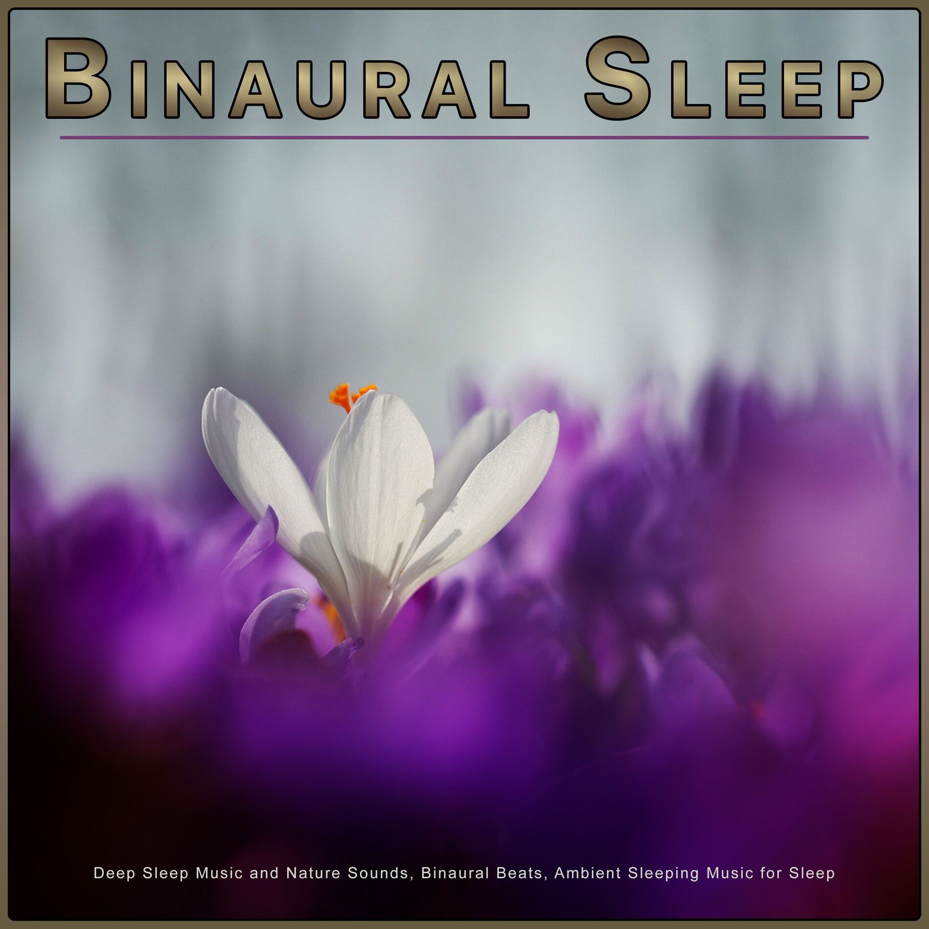 Album cover of Ambient Music For Deep Sleep